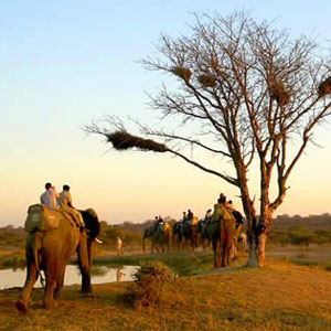 afrique du sud rencontre